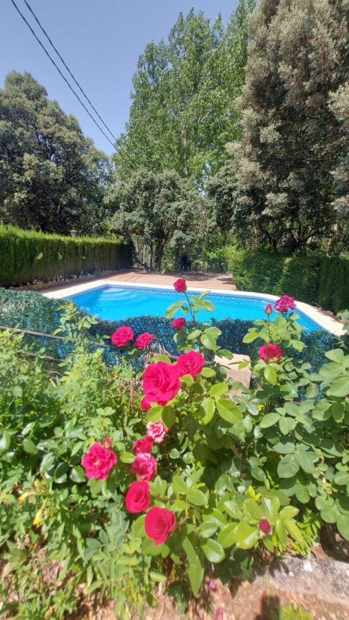 Casas Rurales Amable- Yeste Cortijo Prados Exterior foto