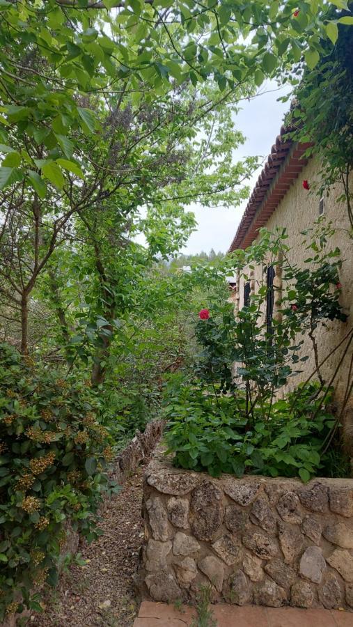Casas Rurales Amable- Yeste Cortijo Prados Exterior foto